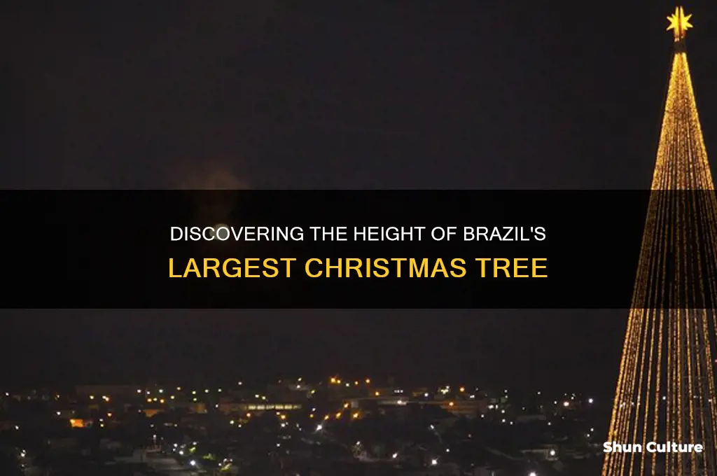 how tall is the largest brazil christmas tree