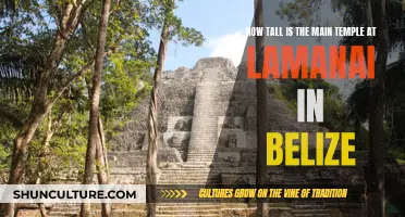 The Sky-High Temple: Exploring Lamanai's Majestic Monument in Belize