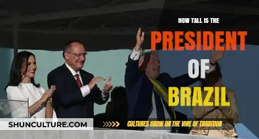 Brazil's President Height: Unveiling the Stature of the Nation's Leader