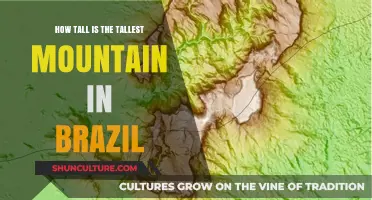 Discovering Brazil's Highest Peak: The Majestic Height of Pico da Neblina