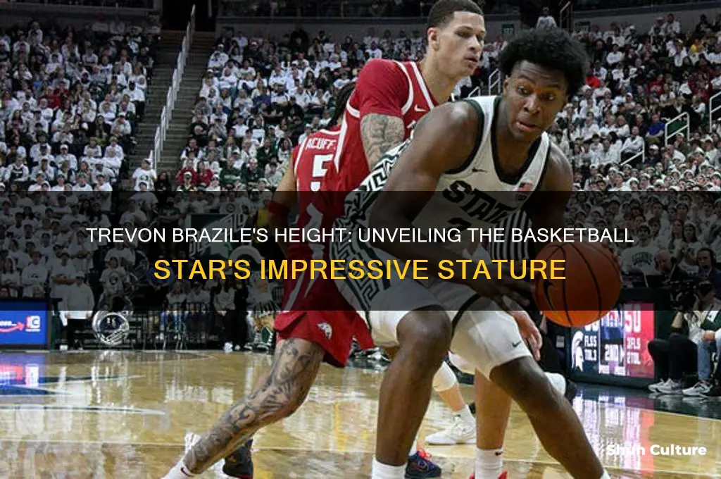how tall is trevon brazile