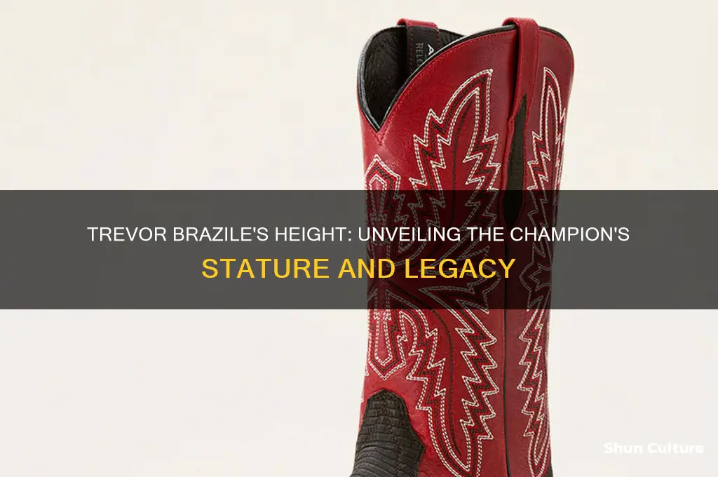 how tall is trevor brazile