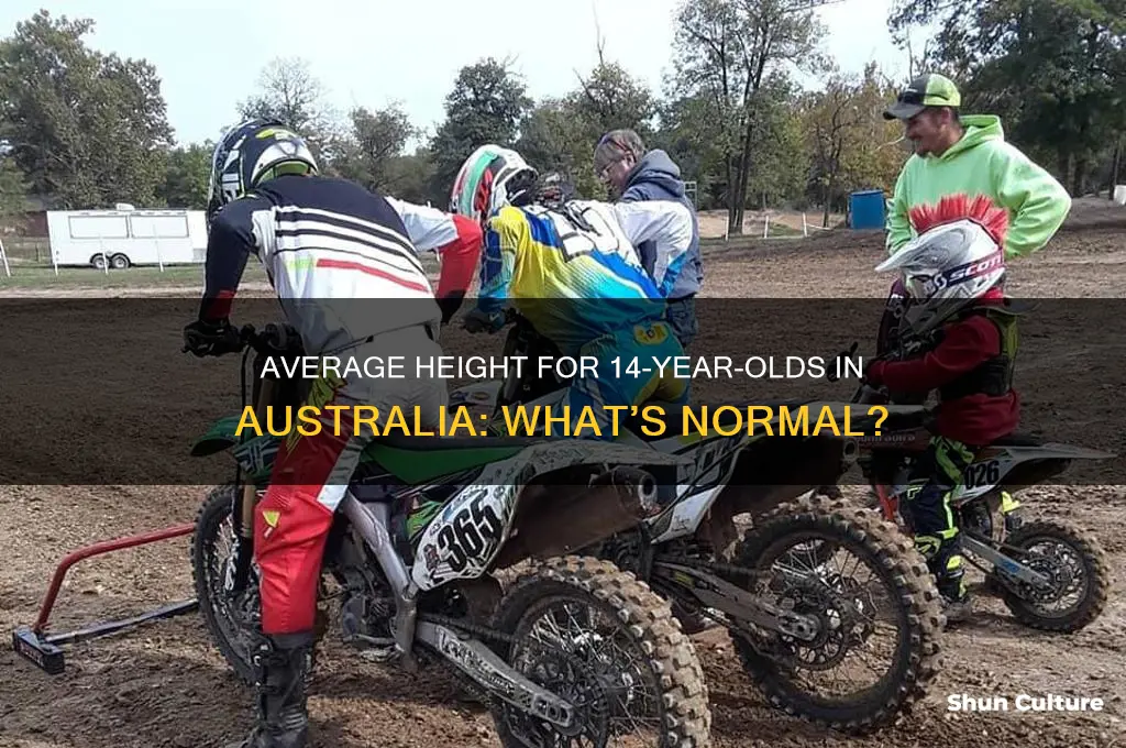 how tall should a 14 year old be in australia