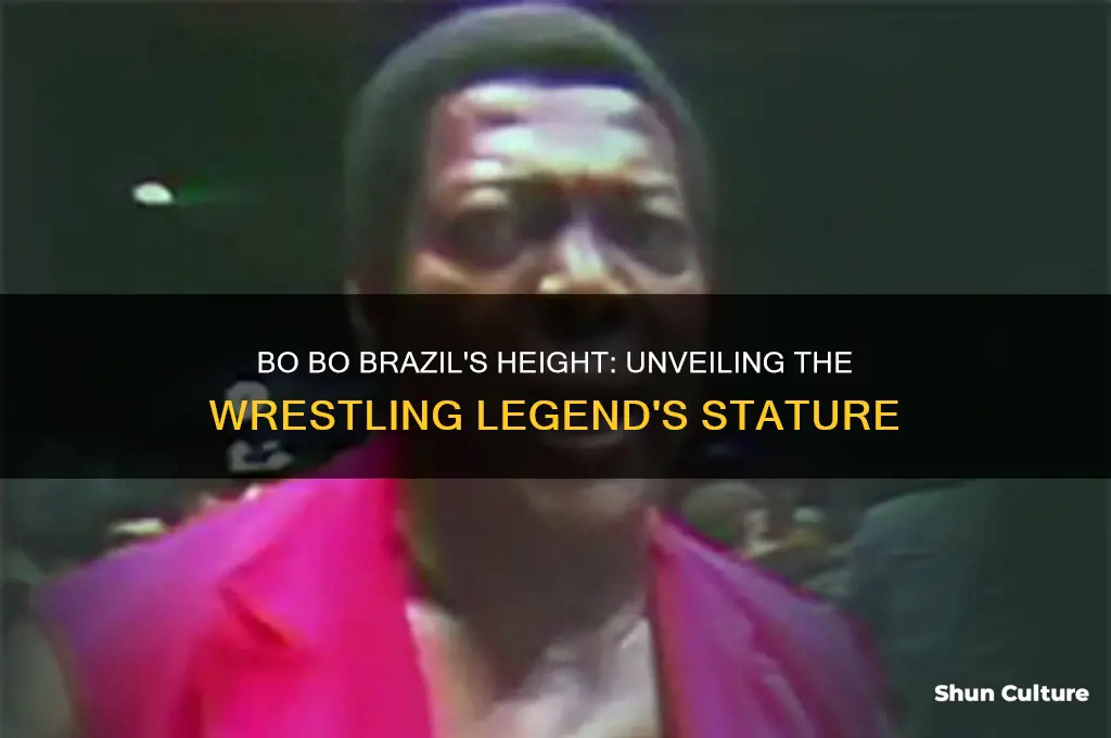 how tall was bo bo brazil