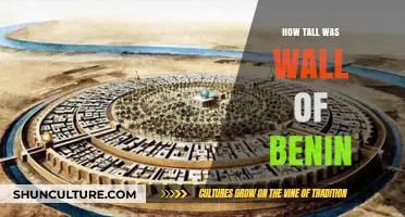 Exploring the Impressive Height of Benin's Ancient City Wall