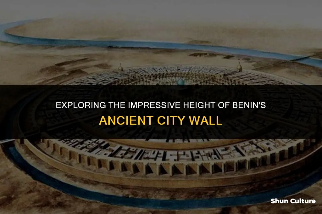 how tall was wall of benin