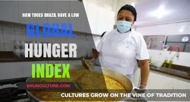 Brazil's Success: Strategies Behind Its Low Global Hunger Index