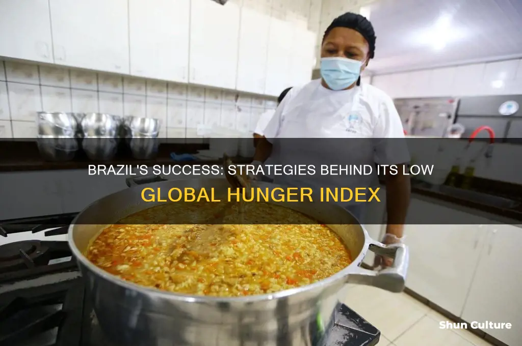 how tdoes brazil have a low global hunger index
