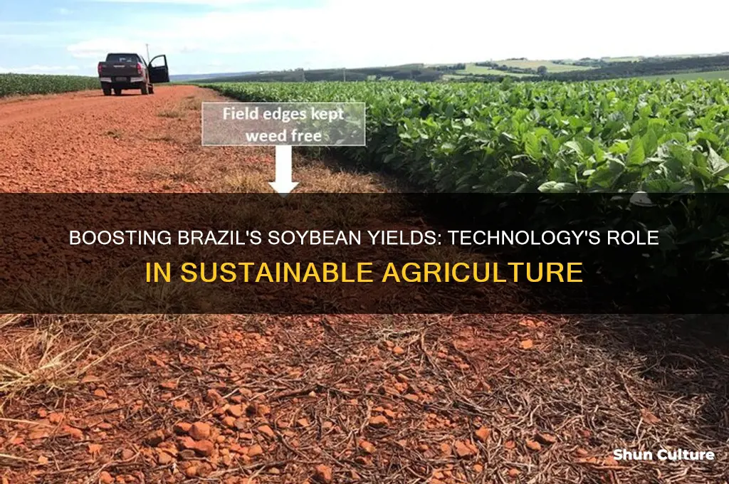how tehcnology can increase soybean productivity in brazil