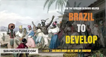 African Slavers' Role in Shaping Brazil's Economic Development