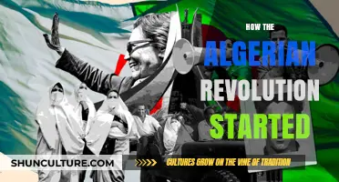 The Spark of Algeria's Independence: Origins of the Revolution