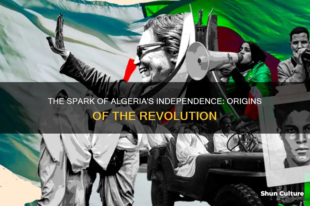 how the algerian revolution started