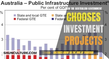 Australian Government's Investment Strategies: Choosing Projects Wisely