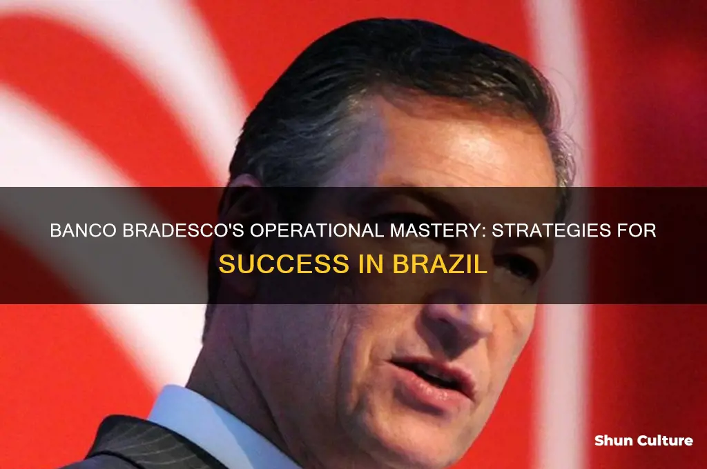 how the banco bradesco of brazil managed its operation
