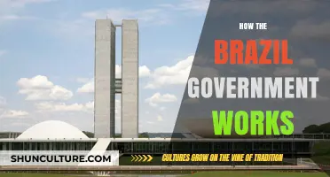 Understanding Brazil's Government: Structure, Powers, and Political Processes