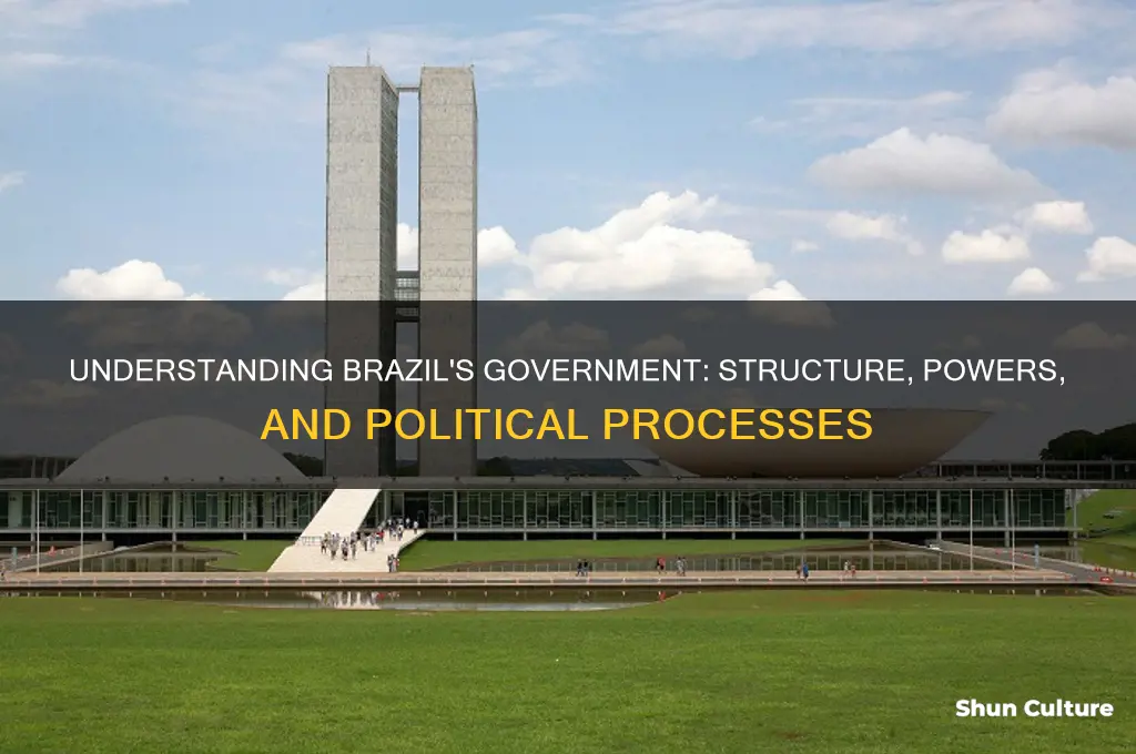how the brazil government works