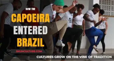 Capoeira's Journey: African Roots to Brazil's Cultural Heart