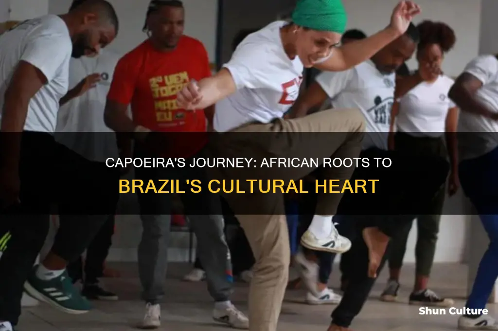 how the capoeira entered brazil