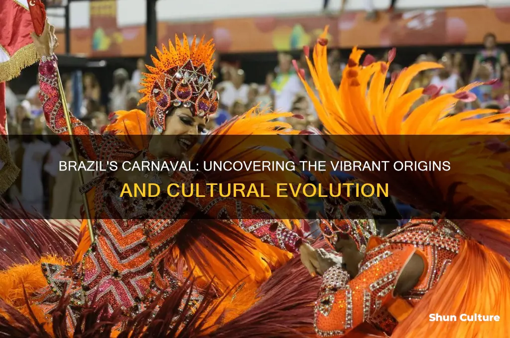 how the carnaval stated on brazil origin
