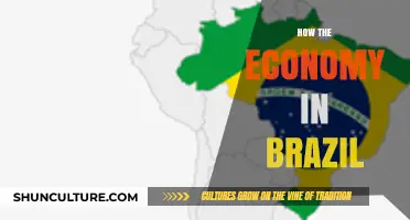 Brazil's Economic Landscape: Trends, Challenges, and Future Prospects