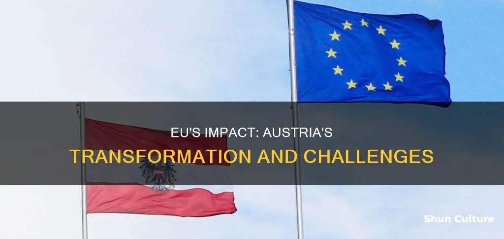 how the eu has affected austria