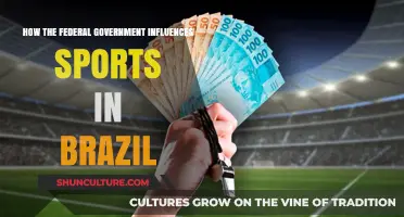 Federal Influence on Brazilian Sports: Policies, Funding, and Impact
