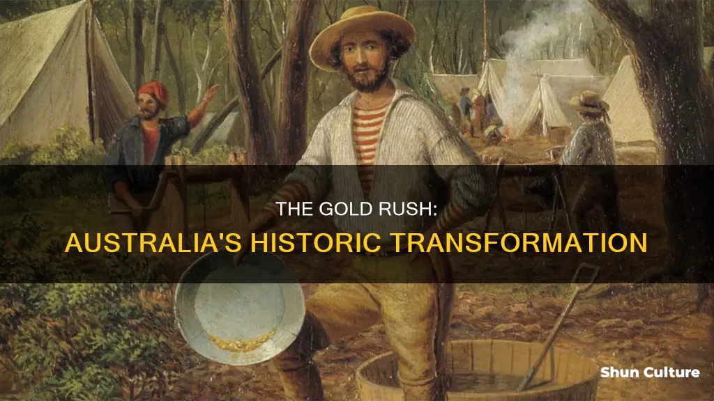 how the gold rush made an impact on australia