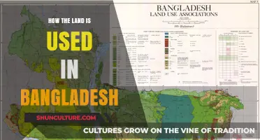 Exploring Bangladesh's Land Use: Agriculture, Urbanization, and Environmental Impact
