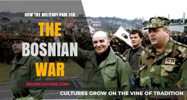 Funding the Bosnian War: Military Finances and Strategies Unveiled