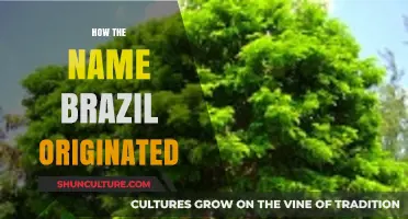 The Surprising Story Behind How Brazil Got Its Name