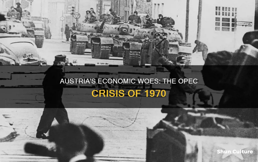 how the opec financial crisis 1970 affected austria