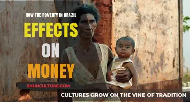 Brazil's Poverty Crisis: Economic Impacts and Financial Struggles Explored