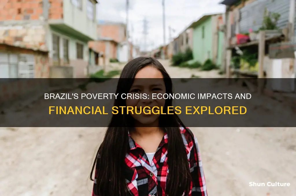 how the poverty in brazil effects on money