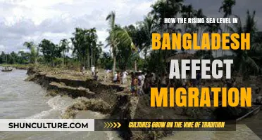 Rising Tides, Moving Lives: Bangladesh's Sea Level Crisis and Migration