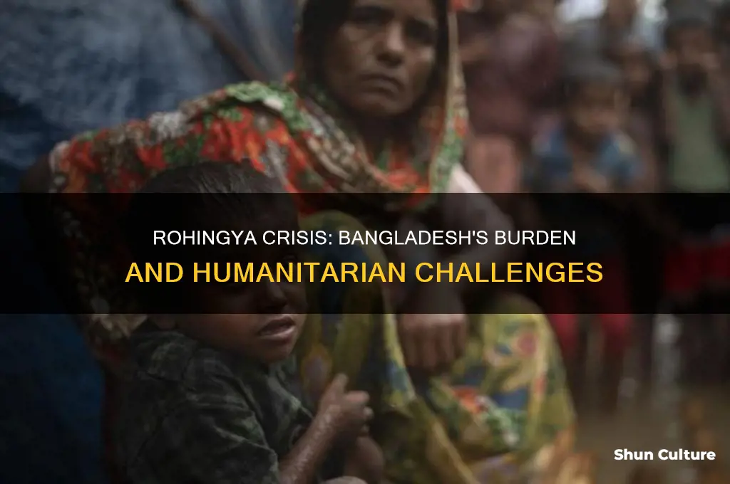 how the rohingya crisis is affecting bangladesh