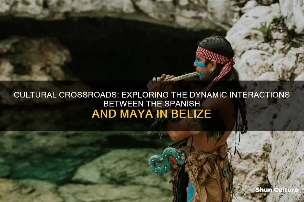 how the spanish interact with the maya of belize