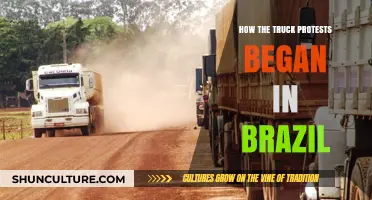 Brazil's Truck Protests: Origins of the Nationwide Movement Explained