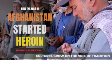 The Dark Legacy of War: Afghanistan's Heroin Epidemic