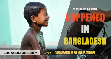 Bangladesh's Water Crisis: Causes, Impact, and the Road to Recovery