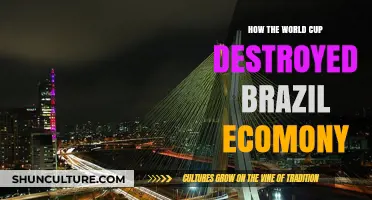 World Cup's Economic Aftermath: Brazil's Struggle Post-Tournament