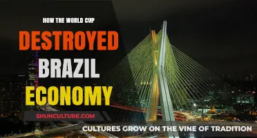 World Cup's Dark Legacy: Brazil's Economic Collapse Post-2014