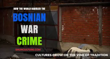Global Response to Bosnian War Crimes: Justice, Accountability, and Legacy