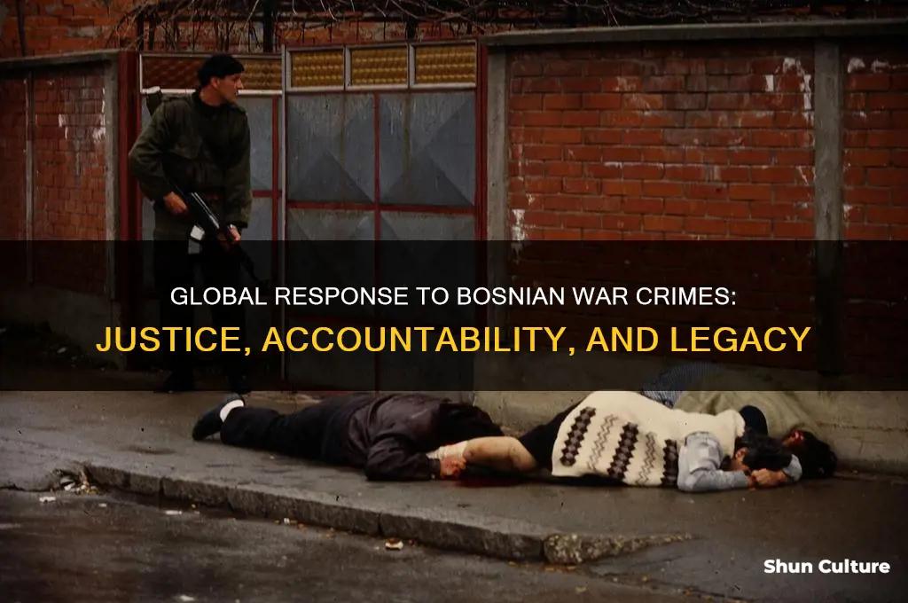 how the world handled the bosnian war crime