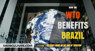 WTO's Impact: Boosting Brazil's Global Trade and Economic Growth