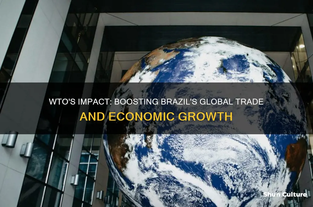 how the wto benefits brazil