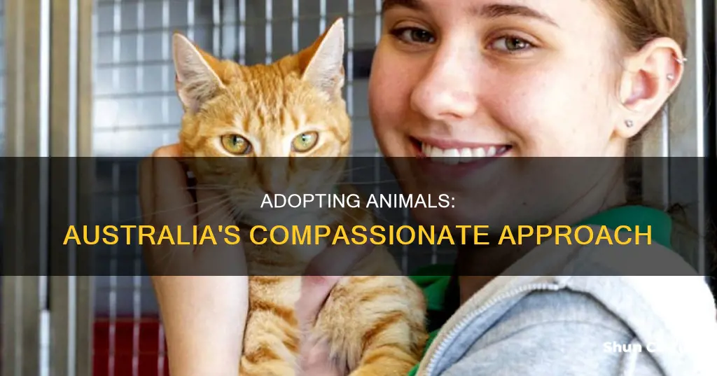 how they are adopted animals in australia