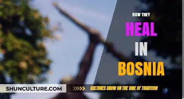 Bosnia's Healing Journey: Resilience, Reconciliation, and Rebuilding After Conflict