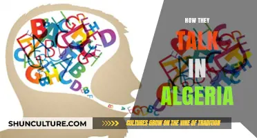Exploring Algeria's Diverse Dialects: Language, Culture, and Communication Insights