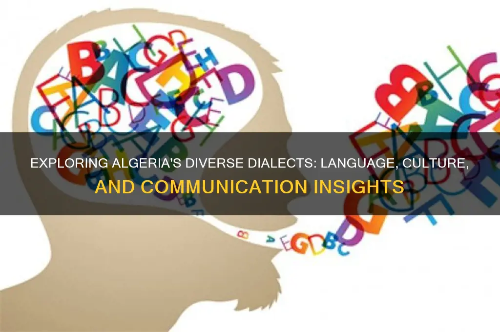 how they talk in algeria