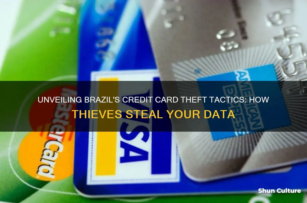 how thieves steal credit card information in brazil